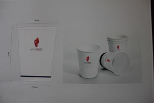 校園文化產品開發中的廣告策劃與設計賞析